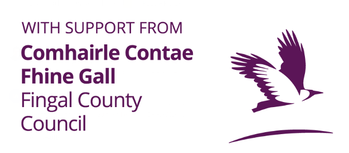 Fingal County Council website